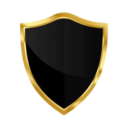 Lifetime Support Access
